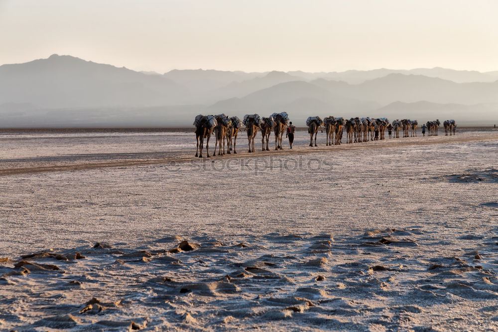 Similar – Image, Stock Photo in danakil ethiopia africa