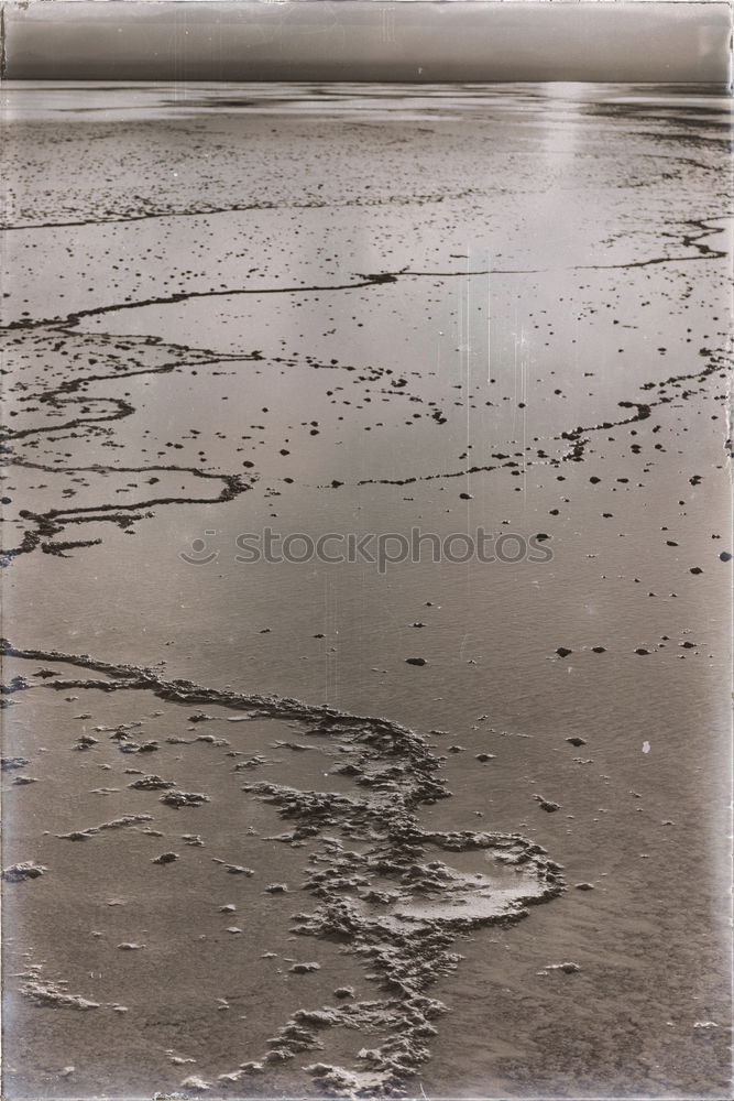 Similar – western beach Environment