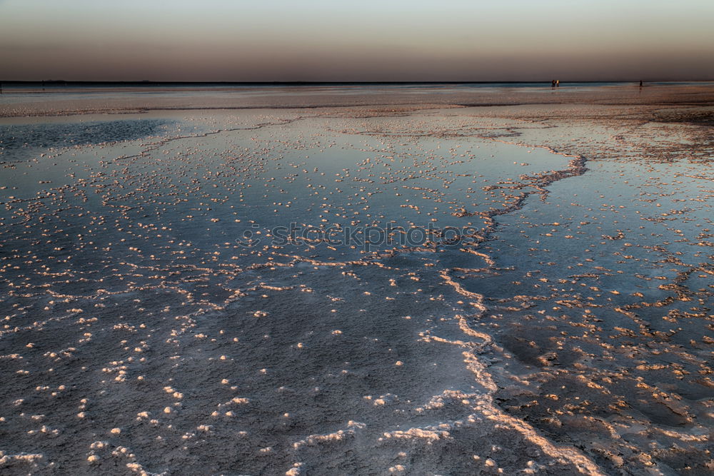 Similar – Muschelfeld Langeoog See