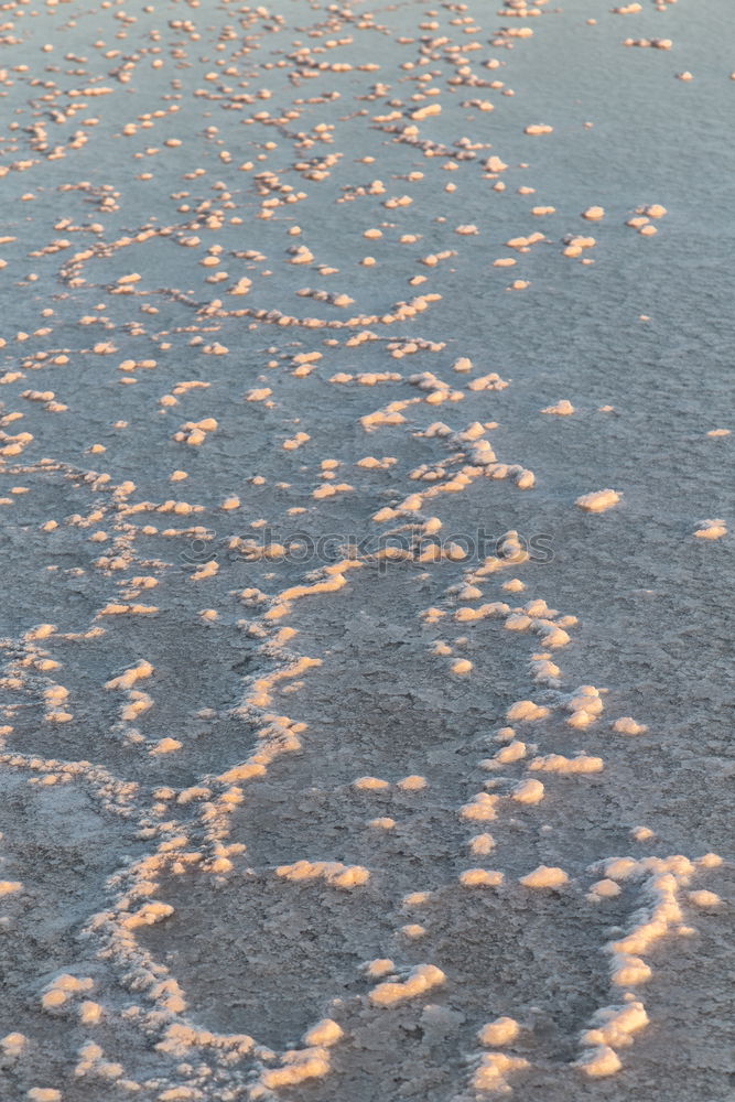 Similar – Foto Bild Marsch auf Eis Fußspur