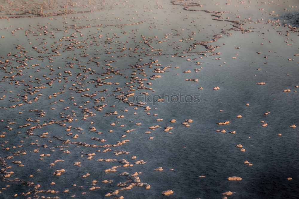 raindrop Rain Window pane