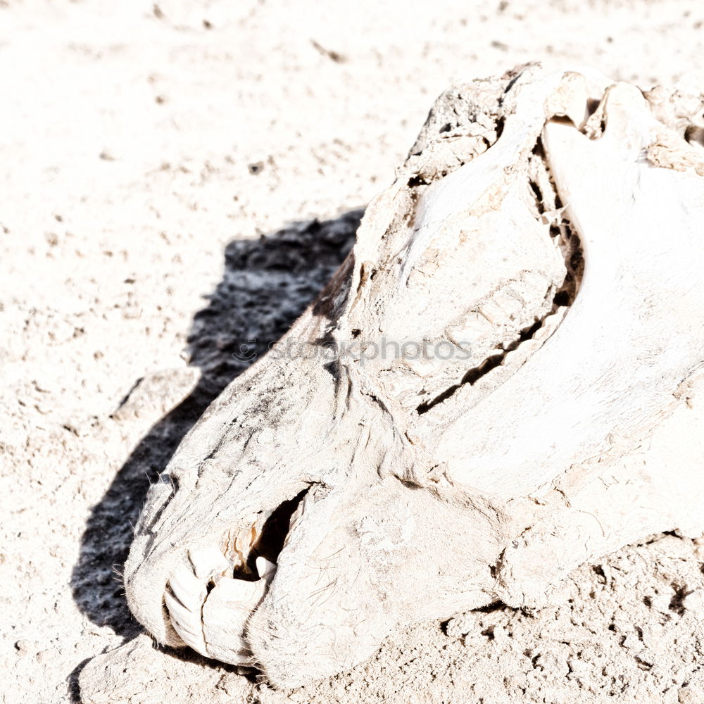 Similar – Foto Bild Feierabend Handschuhe