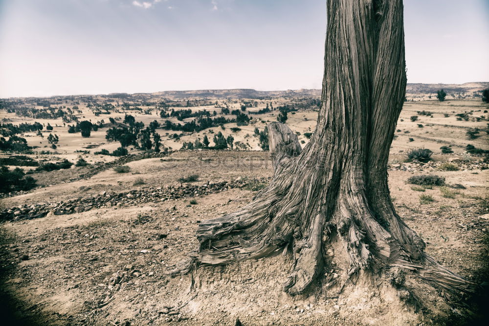 Similar – Image, Stock Photo Los Andes II Environment