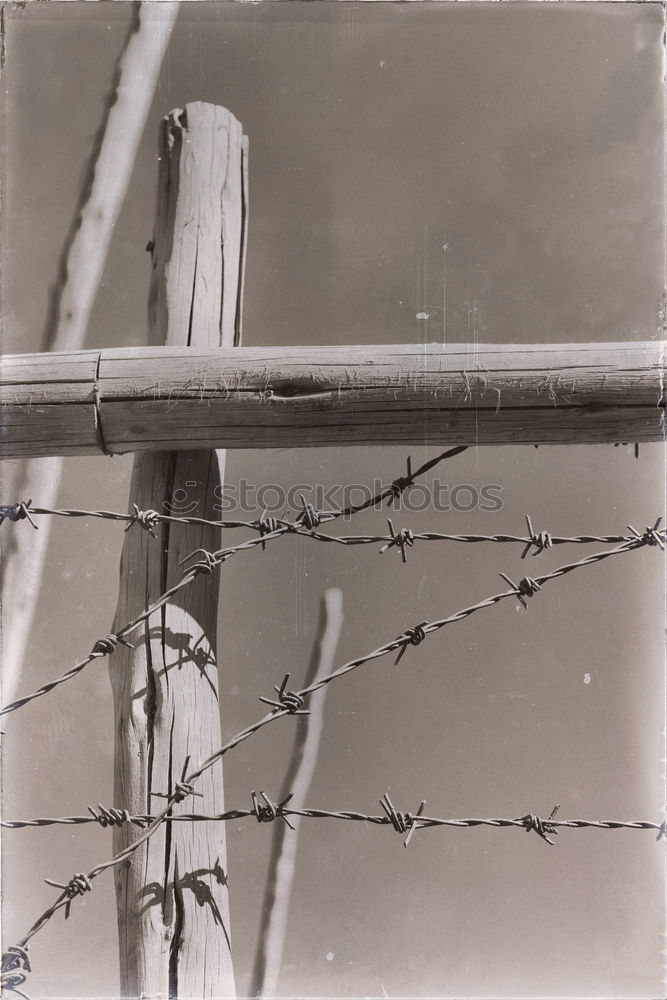 Similar – Image, Stock Photo snow line Fence Forest