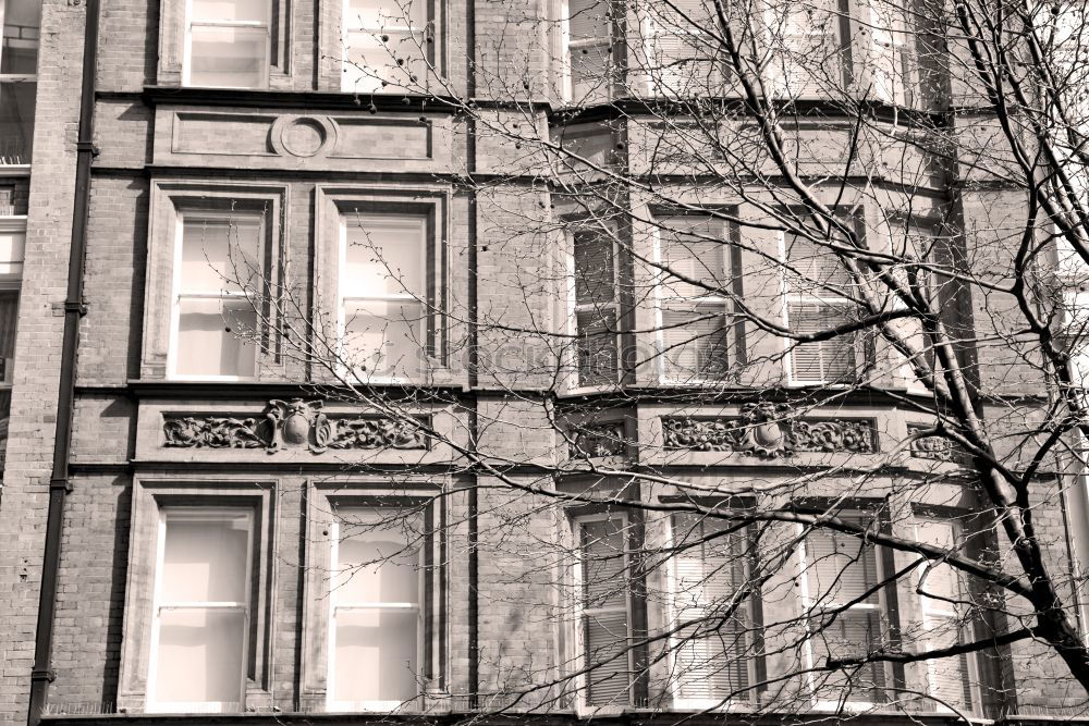 Similar – Foto Bild Amsterdam Office 2