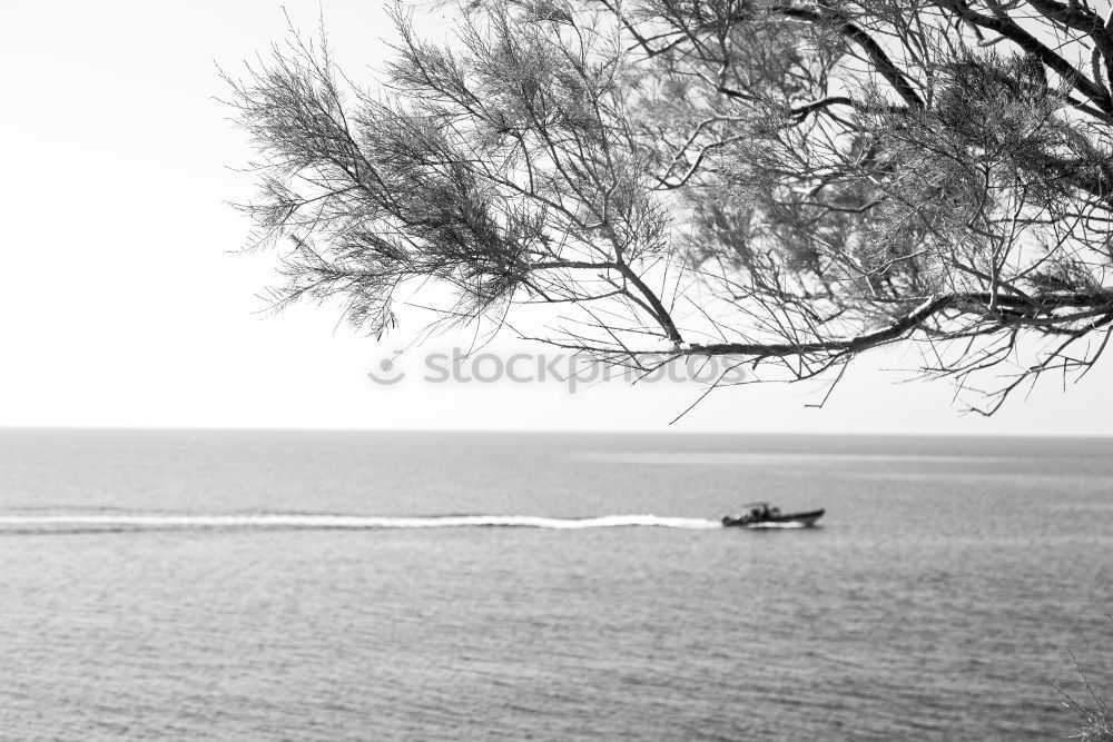 Similar – Foto Bild am baum lehnend den see betrachtend