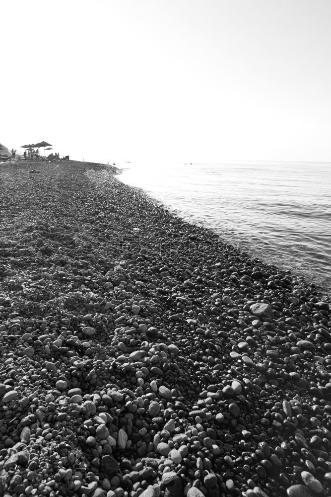 Similar – Image, Stock Photo Fehmarn Environment Nature