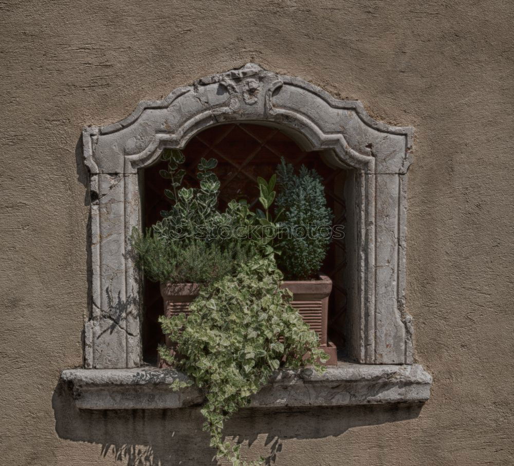 Similar – Image, Stock Photo urban gardening (remake)