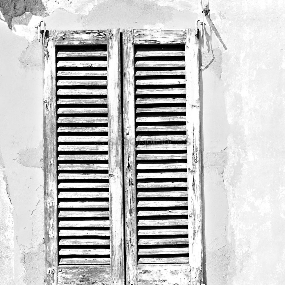 Similar – winter door Nature Winter