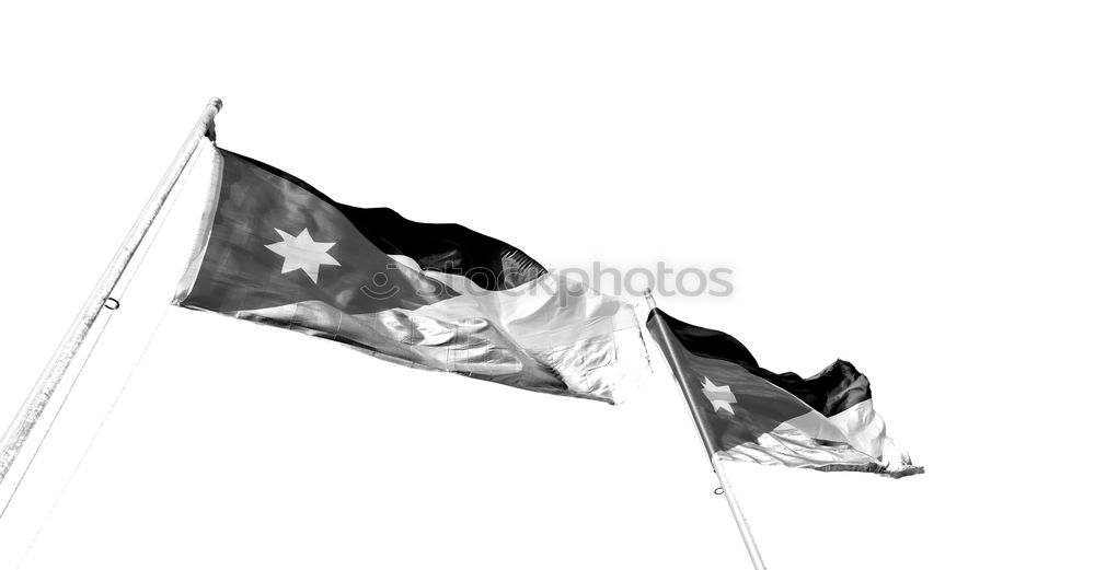 Similar – Flag day Flying the flag