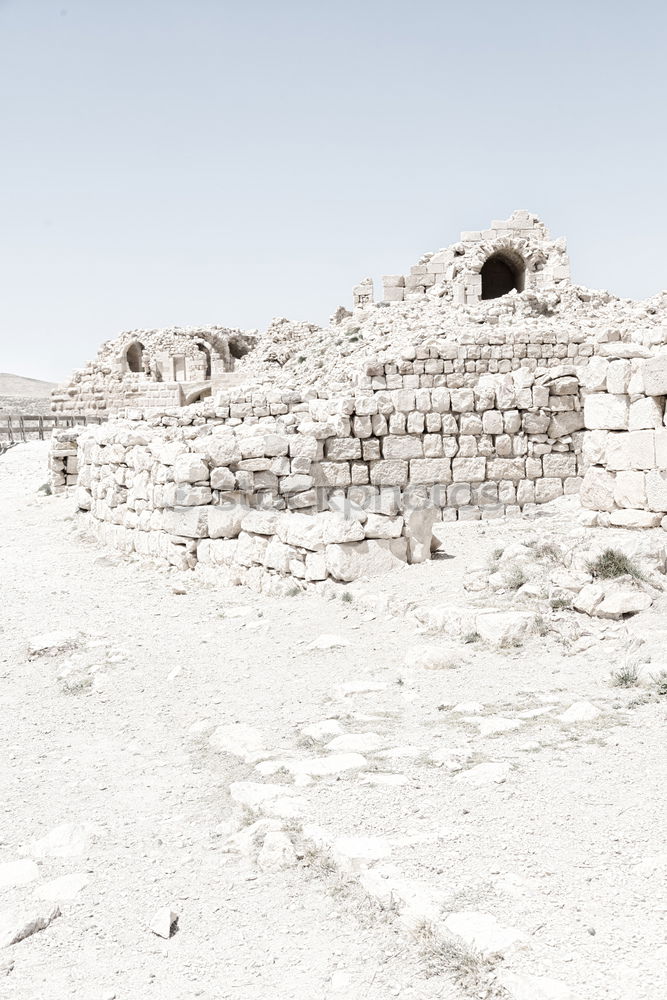 Similar – Image, Stock Photo behind the pyramid Desert