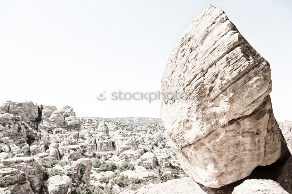 Similar – Image, Stock Photo Elephant Arch Beautiful