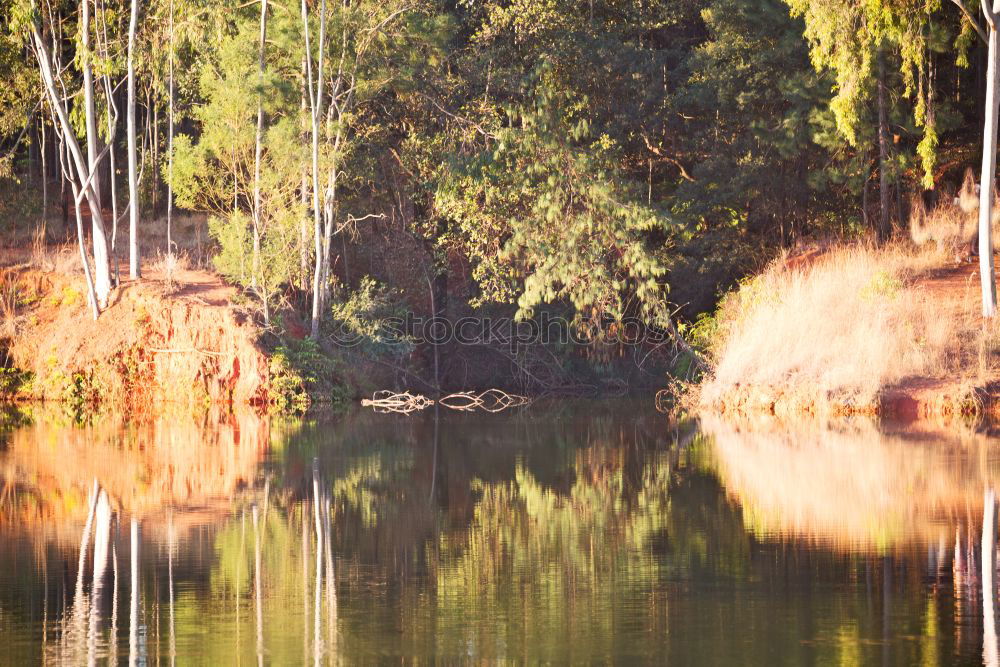 Similar – (Duck-)house at the lake