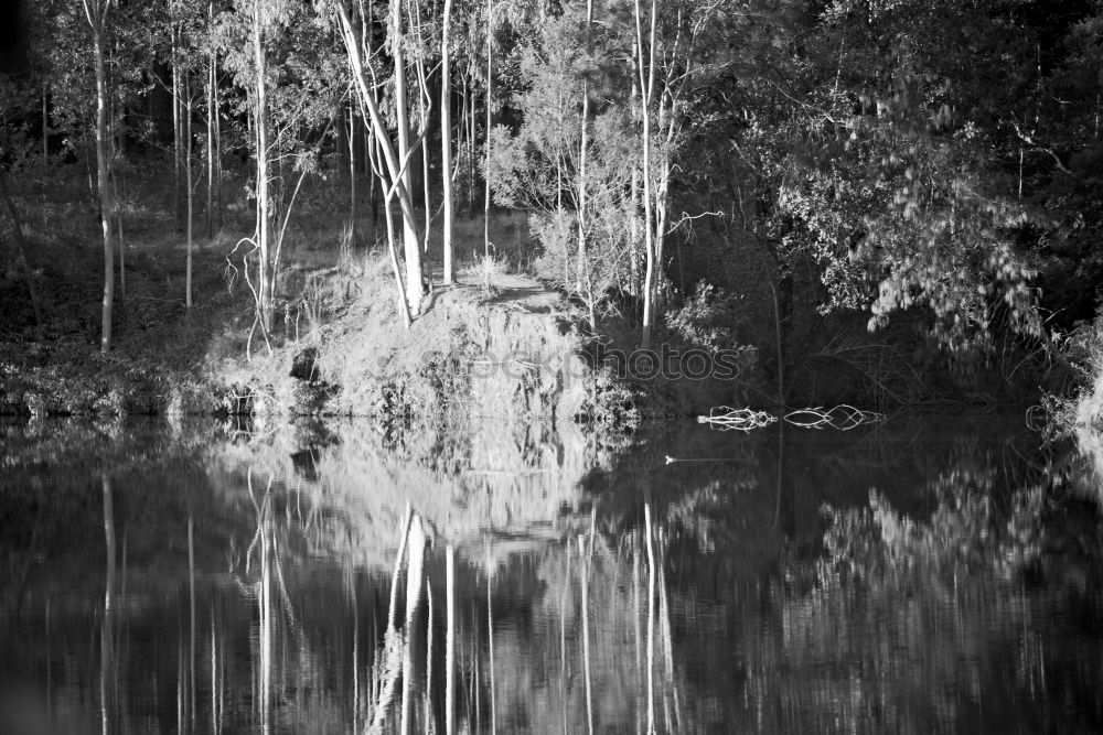 Similar – Foto Bild Fluss Wasser Urwald