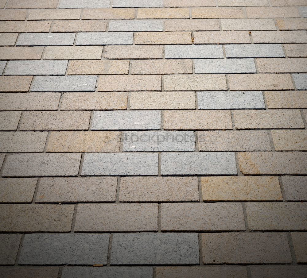 Similar – Image, Stock Photo Paving stones Backyard