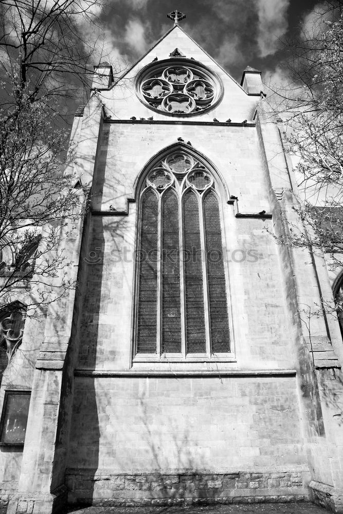 Similar – Image, Stock Photo Der Kölner Dom Cologne