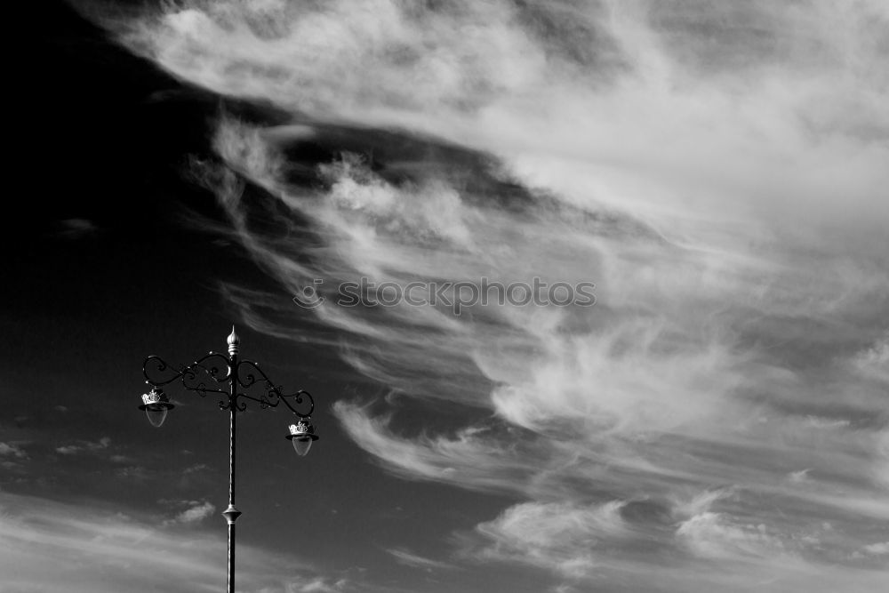 Similar – Image, Stock Photo grass sky Grass Clouds