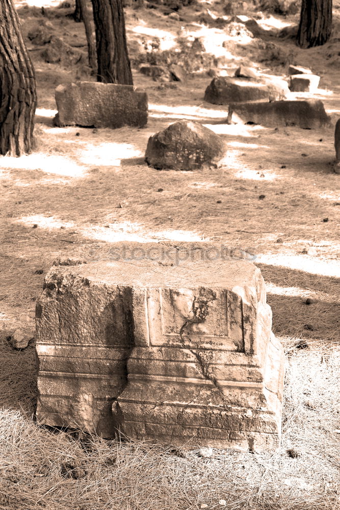 Similar – Image, Stock Photo Valley of the Temples in Agrigento, Sicily, Italy