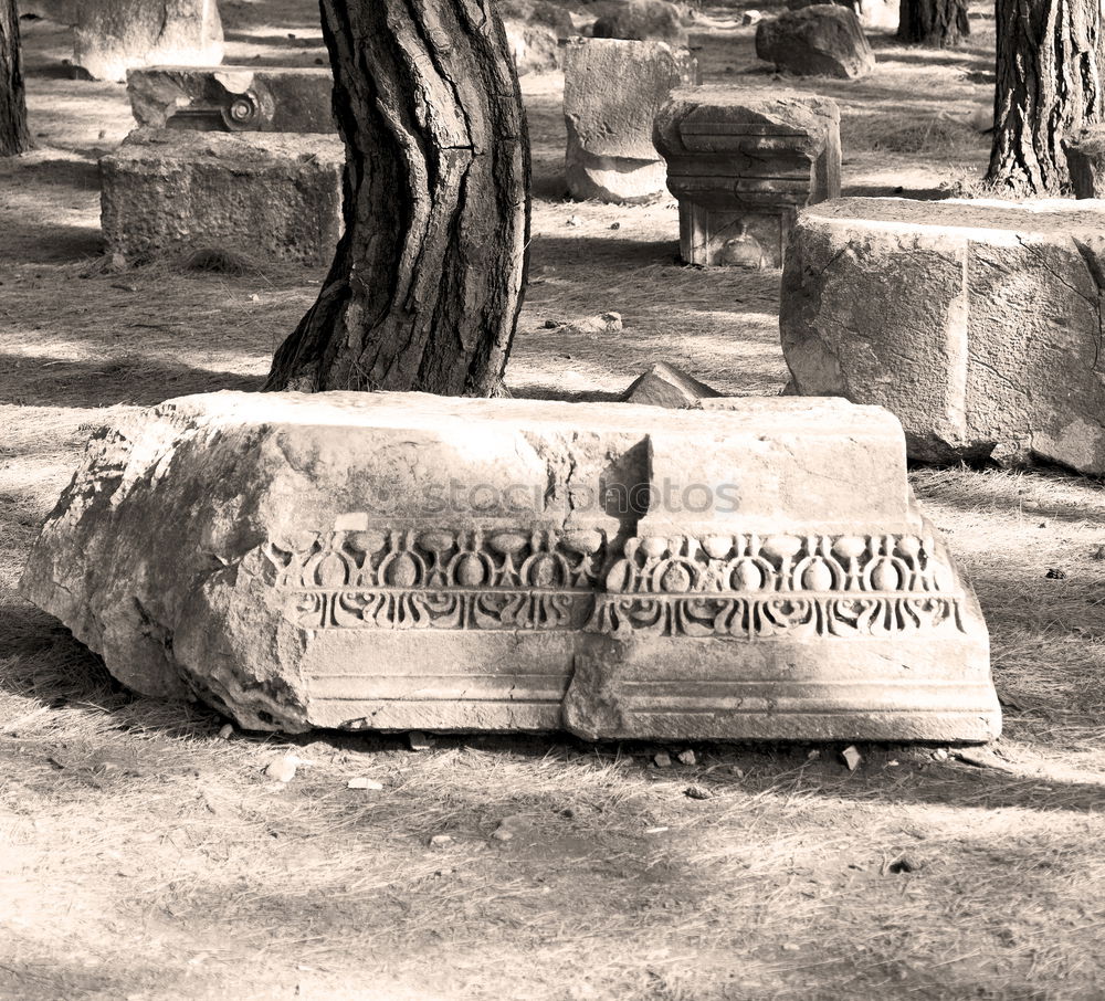 Similar – An old quiet graveyard in Macao, China