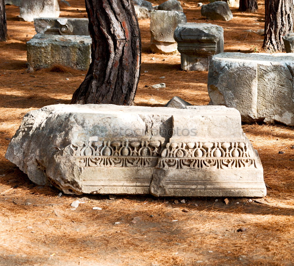 Similar – An old quiet graveyard in Macao, China