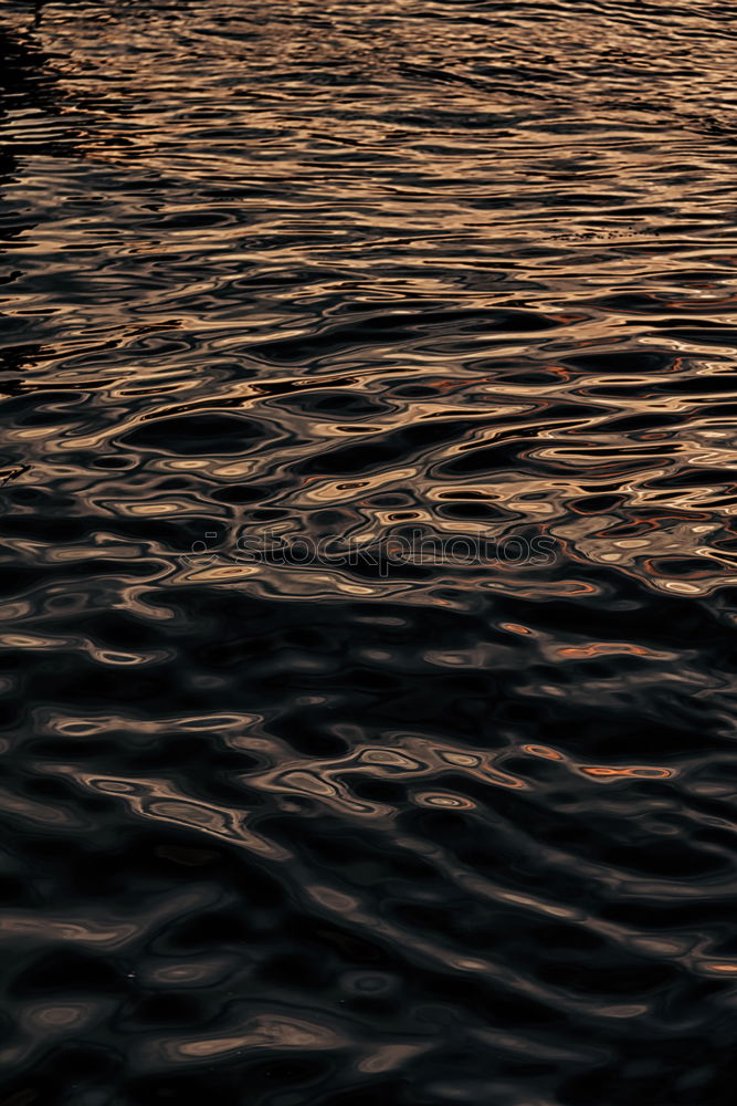 Similar – Image, Stock Photo waterboy Rowing Rower