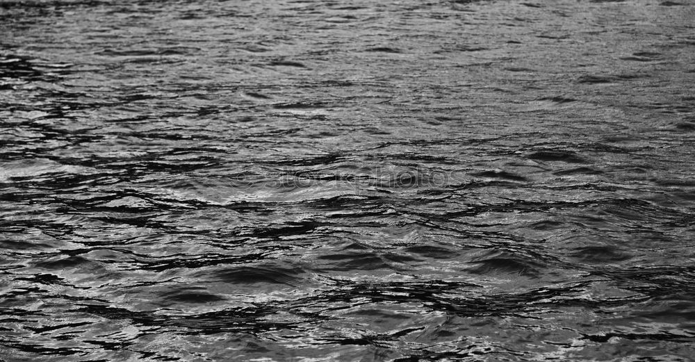 Similar – Image, Stock Photo Walking in the rain