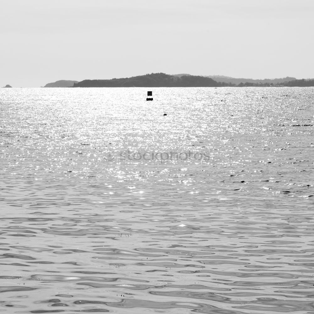 Similar – Image, Stock Photo Duck on ice Water Sunrise