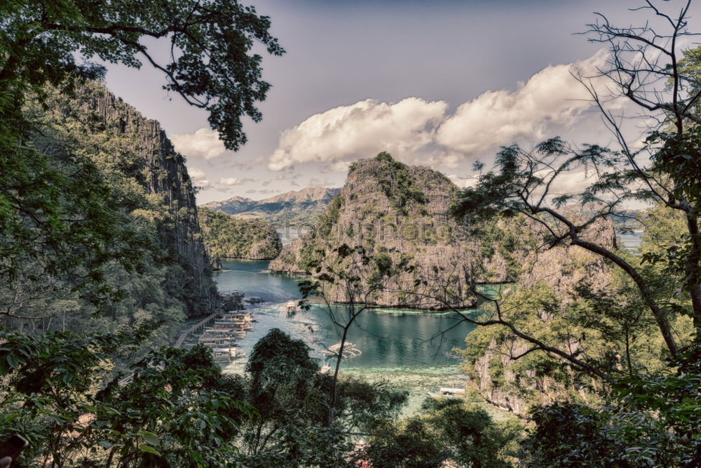 the beautiful paradise bay and tropical lagoon