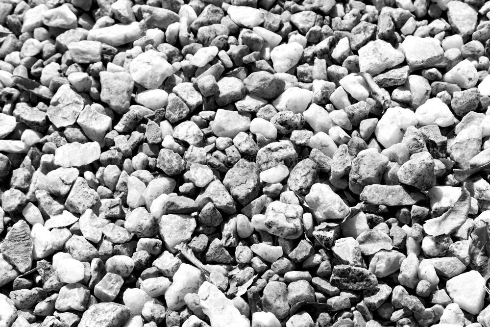 Similar – stones Pebble Gravel Beach