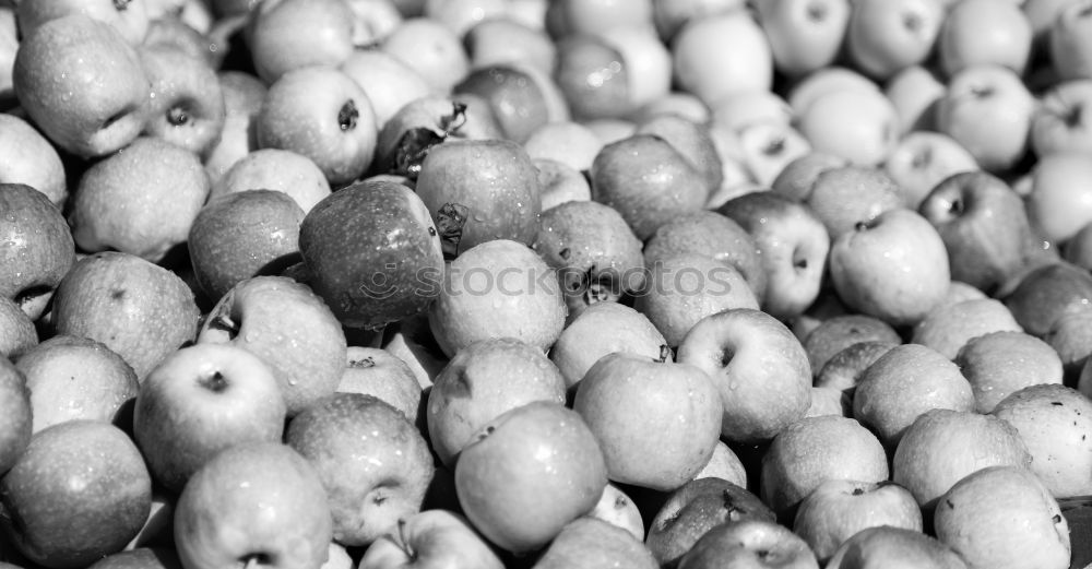 Similar – Image, Stock Photo stony thing Stony Beach