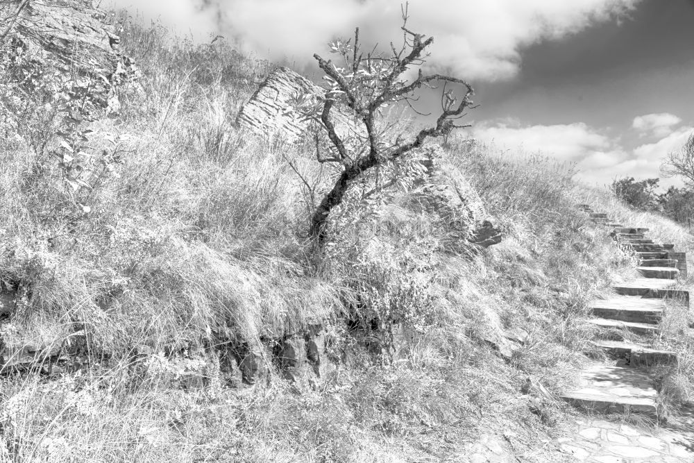 Similar – Foto Bild Grianán of Aileach Umwelt