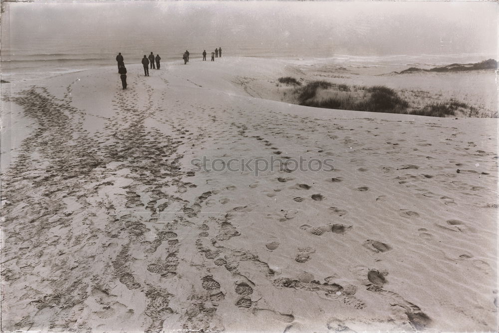 Similar – Image, Stock Photo Winter landscape | beginning and end.