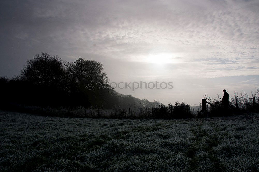 Similar – Foto Bild schräg Gras Morgen frisch