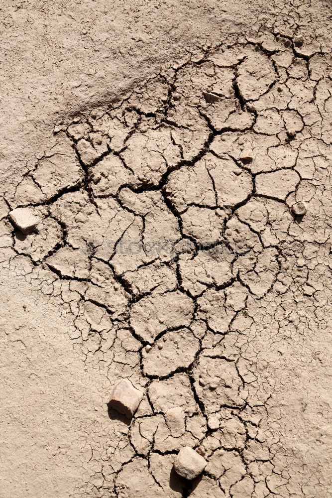 Similar – Dried earth Mud Drought