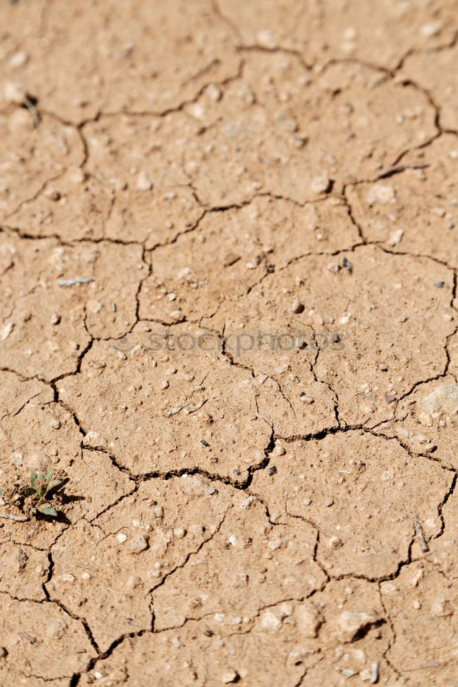 Similar – yellow tennis ball on the dessert ground