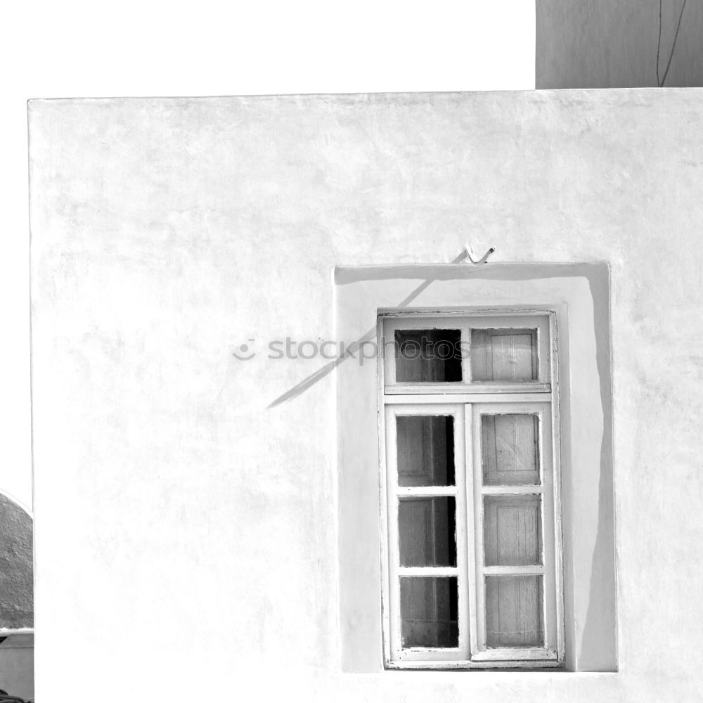 Similar – Foto Bild Tomate Mensch maskulin