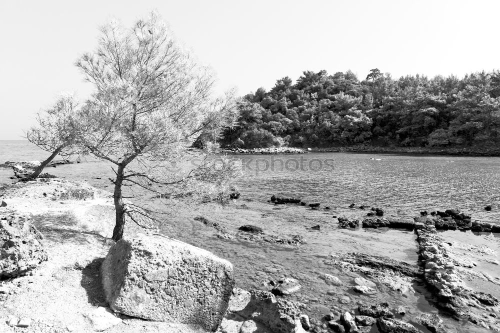 Similar – steep coast Coast Slope