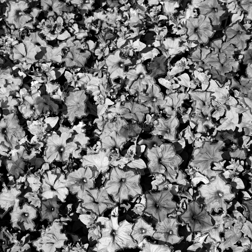 Similar – Image, Stock Photo Dark Matter Water