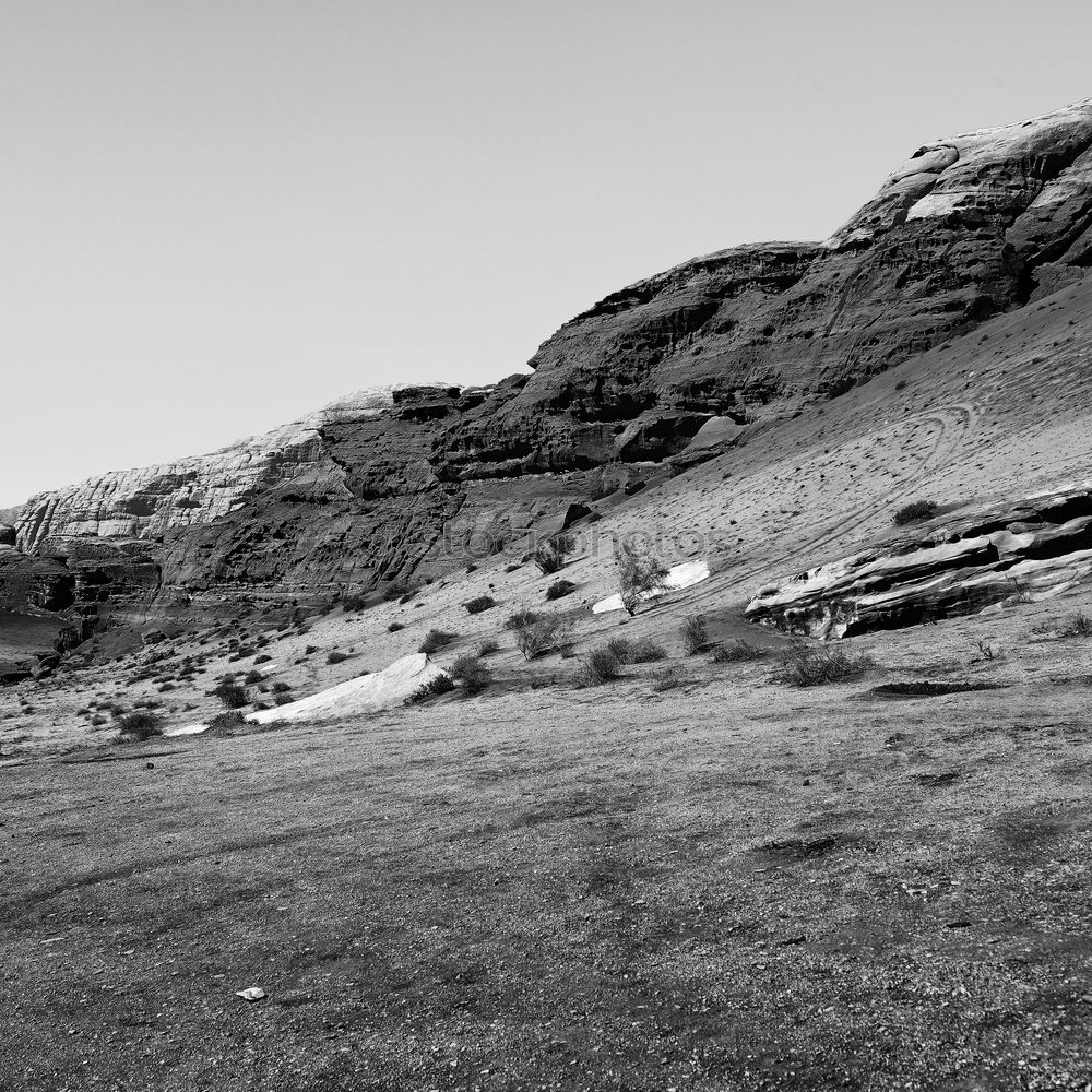 Similar – group picture at the pico de teide