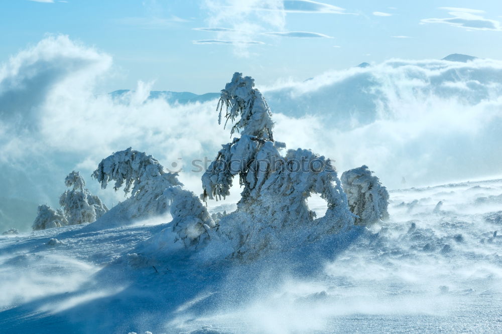 Similar – Foto Bild Schlumpfhausen Winterwald