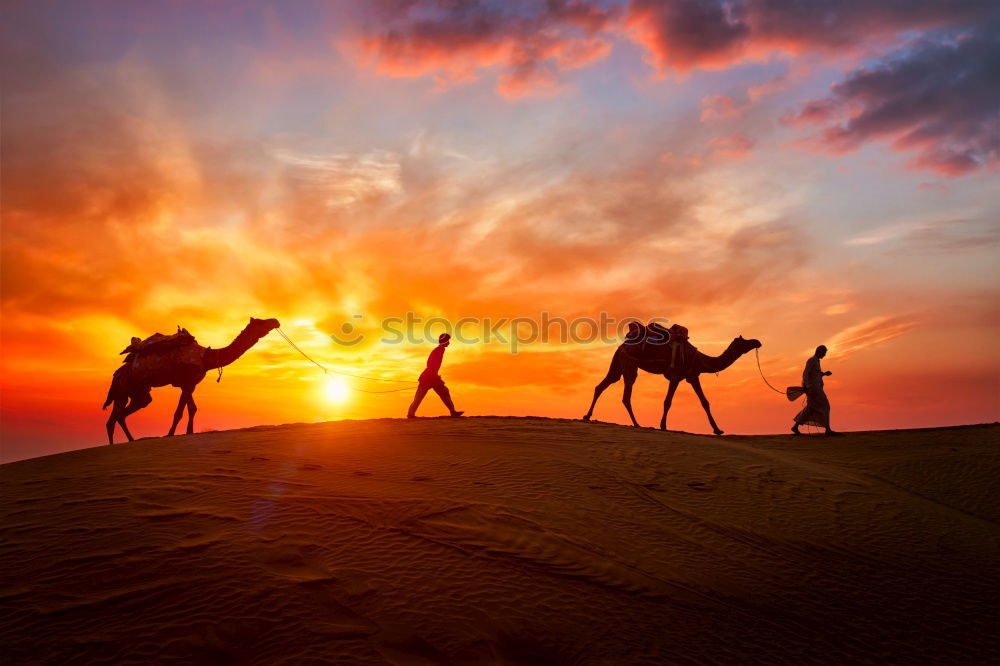 Similar – Image, Stock Photo desert love