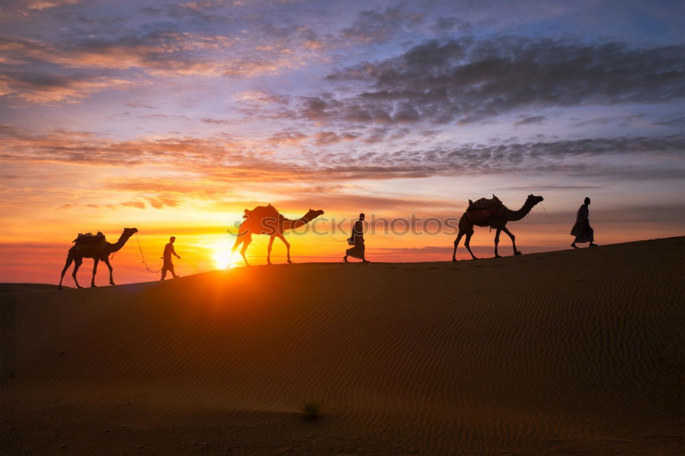 Similar – Image, Stock Photo desert love