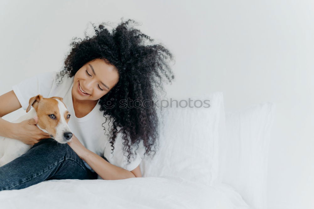 Similar – cute brown toy poodle at home with his owner