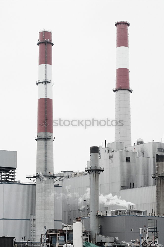 Similar – Image, Stock Photo gravel plant