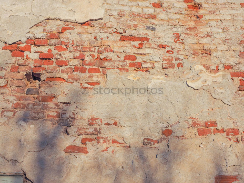 Similar – Image, Stock Photo much wall = little sky