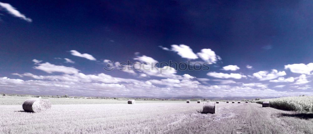 Similar – Hay bales in a different way…