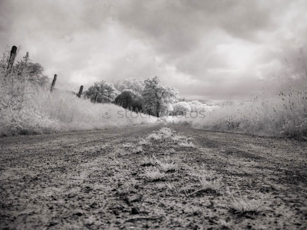 Similar – Image, Stock Photo nowhere Iceland Longing