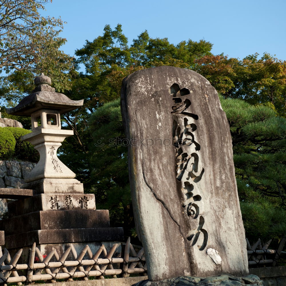 Similar – Image, Stock Photo in front of the pagoda 4/5