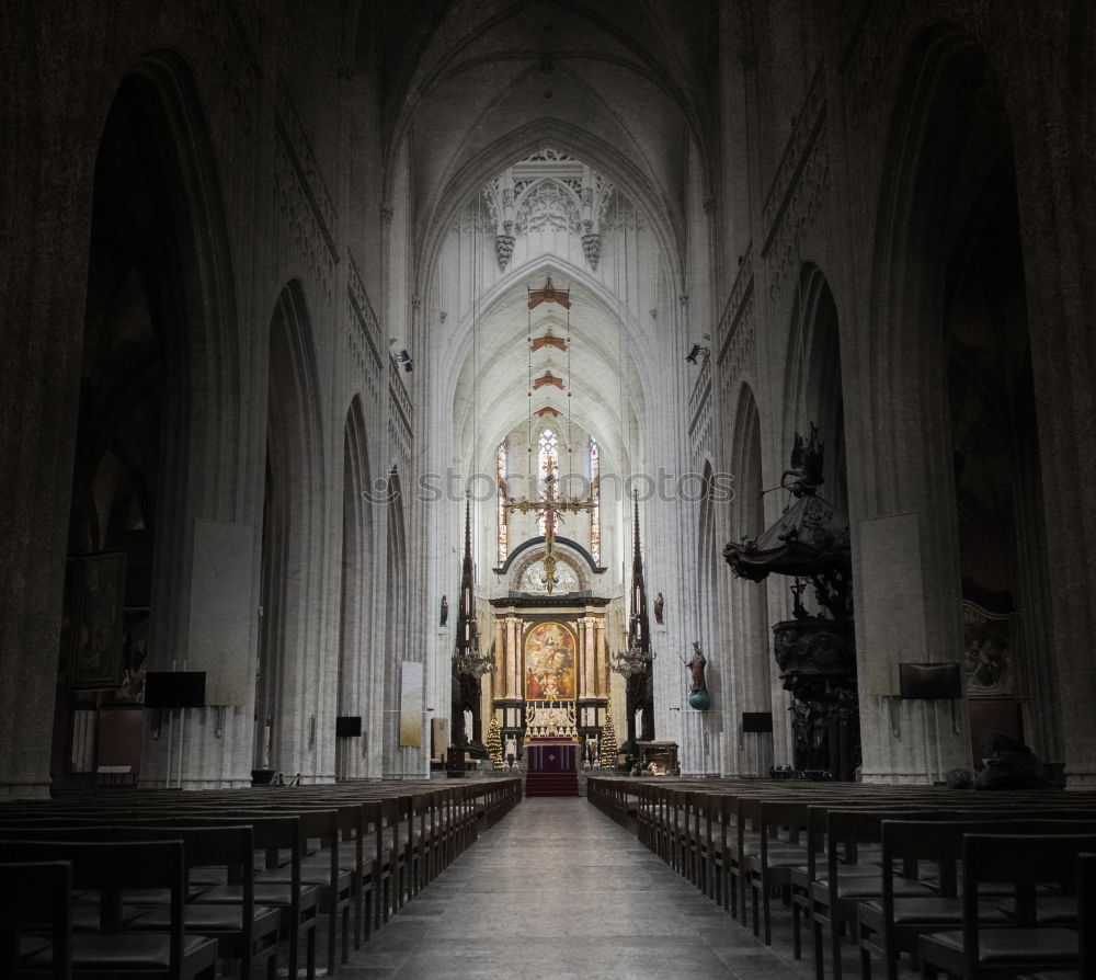 Similar – Image, Stock Photo munster of freiburg Altar