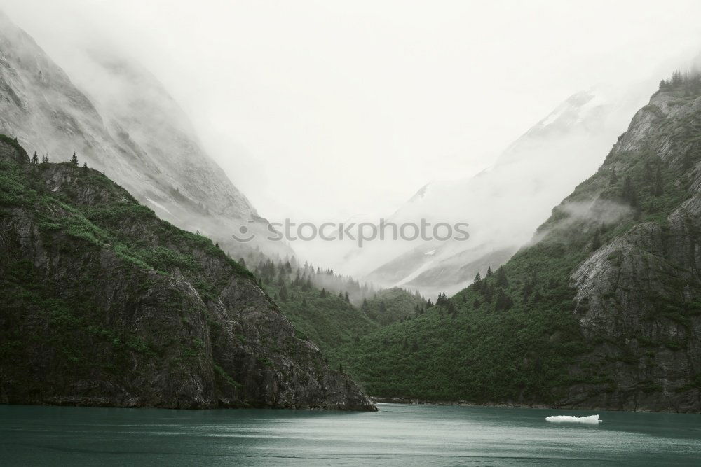 Lake Louise Environment